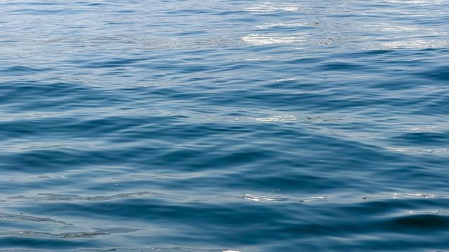 lake-water